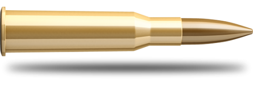 Náboj SB 7,62x54 R 2909 FMJ 11,7 g